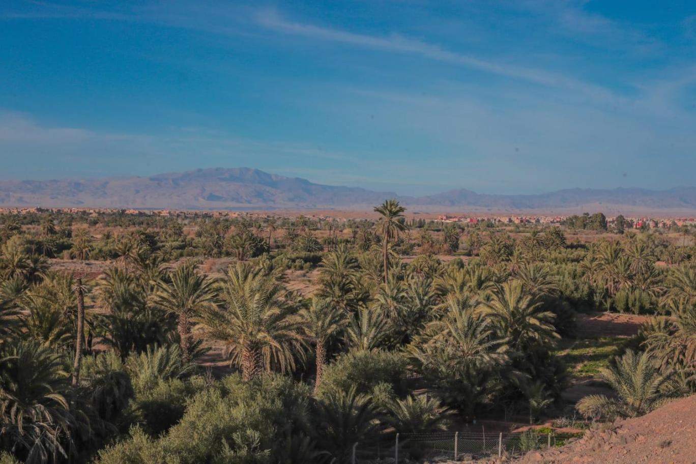 Palm View Palace Варзазат Екстериор снимка